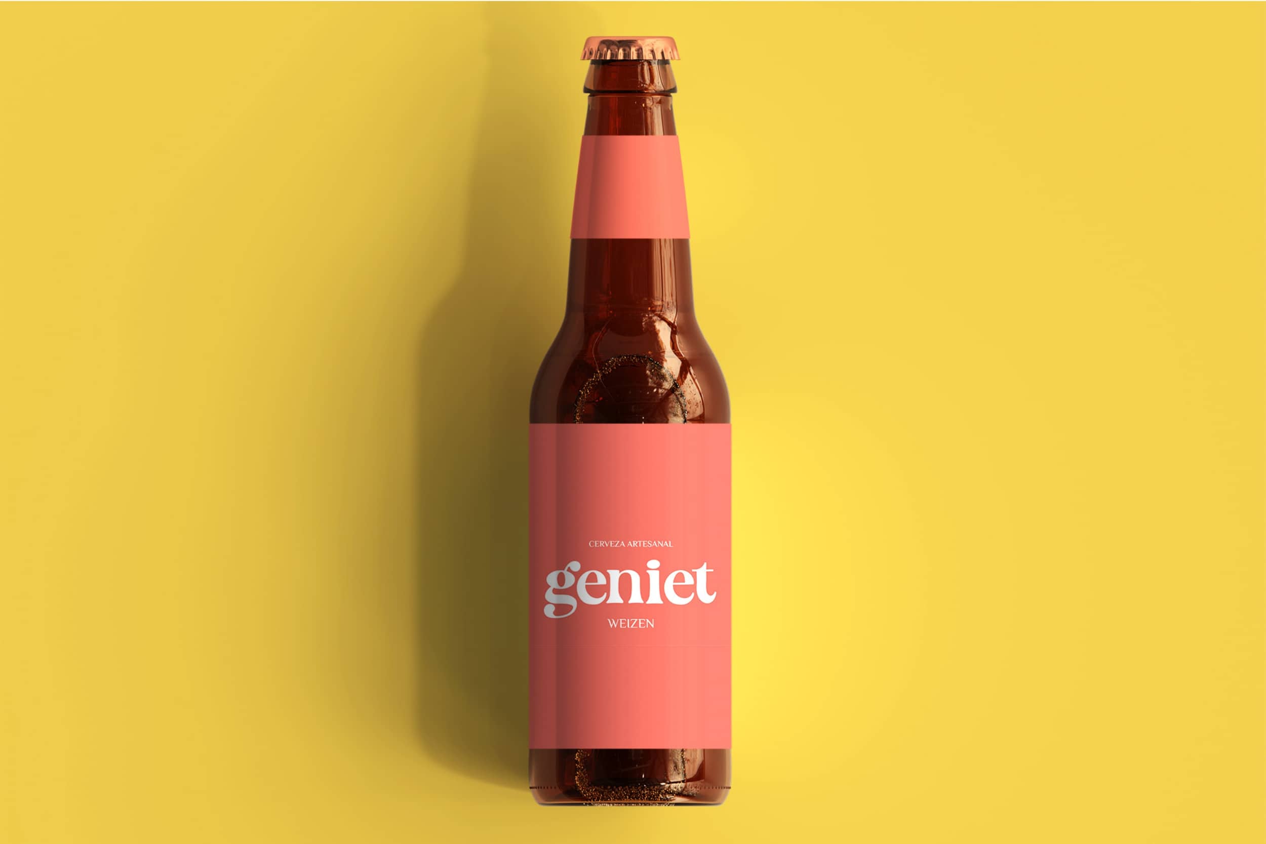 Proyecto Geniet_page-0005-min