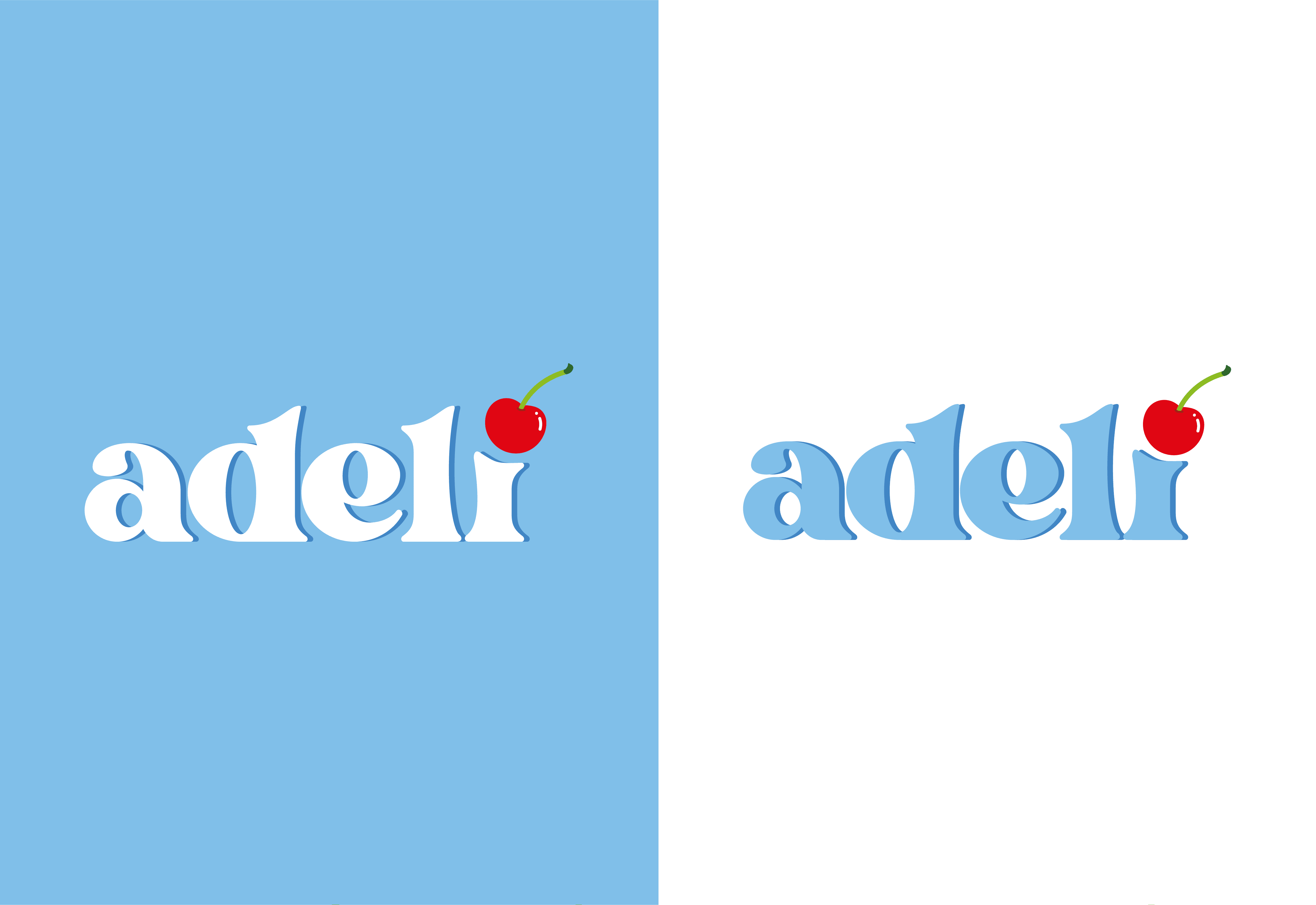 PORTAFOLIO ARELI BRANDING-04