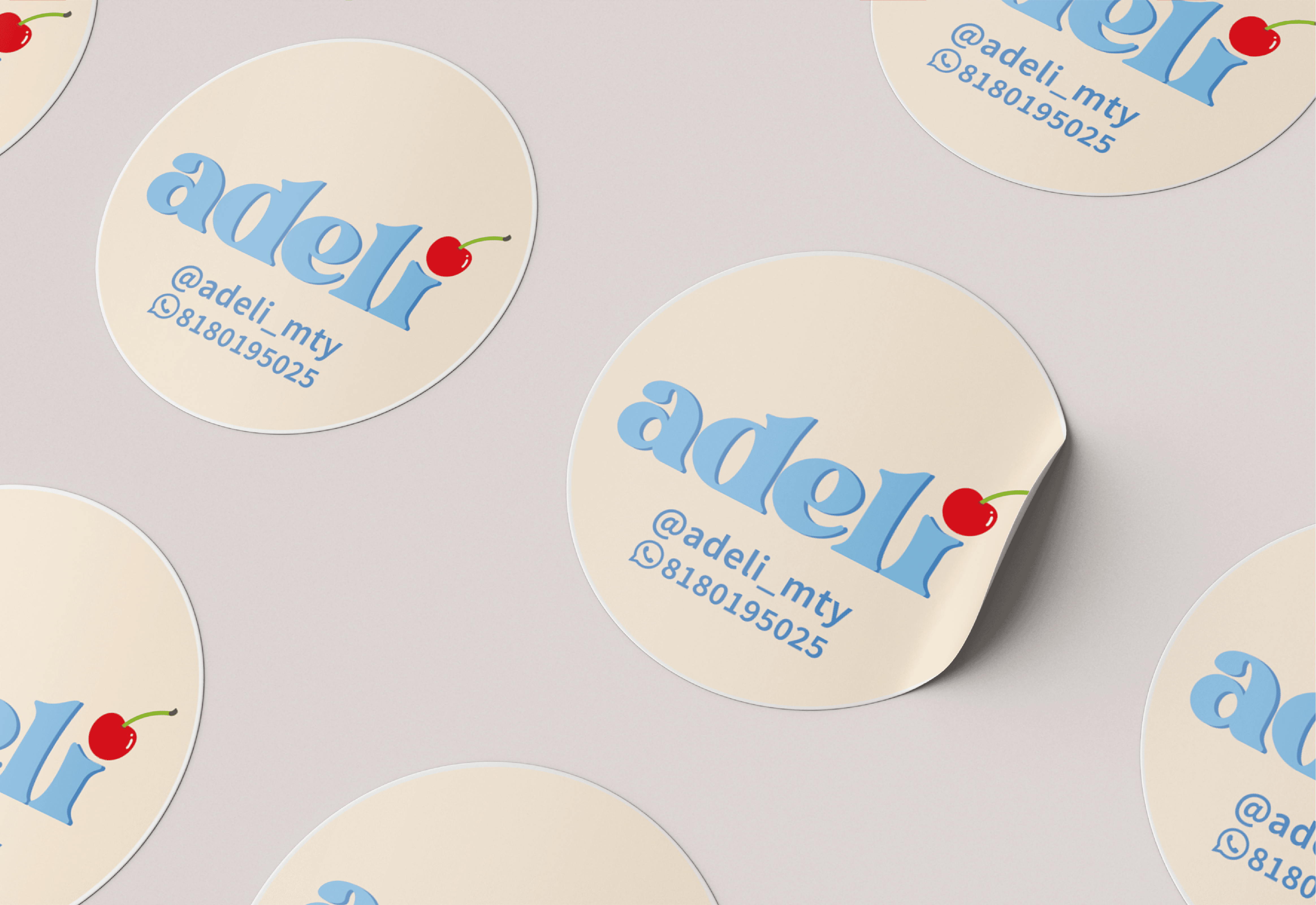 PORTAFOLIO ARELI BRANDING-06